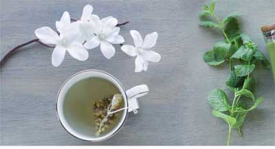 technique naturelle - plantes