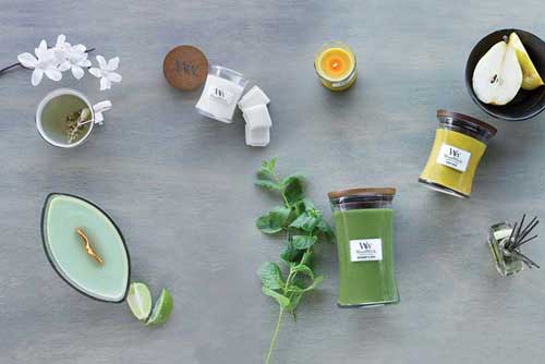 Les Cures Naturopathiques - Ateliers bien-être entreprise - photo 01