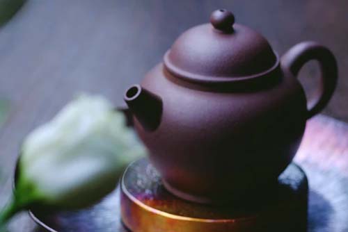 Article : les bienfaits de la bourdaine - Ateliers bien-être entreprise - photo 01