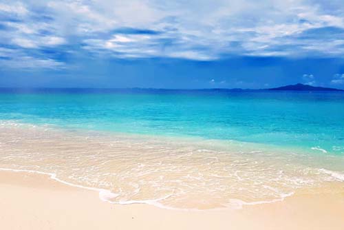 Article : remèdes naturels contre les coups de soleil - Ateliers bien-être entreprise - photo 01