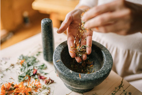 Ateliers phytothérapie - Ateliers bien-être entreprise - photo 02