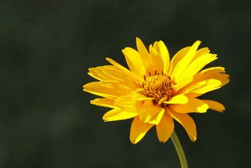 Article soigner un hématome - Ateliers bien-être entreprise - photo 01